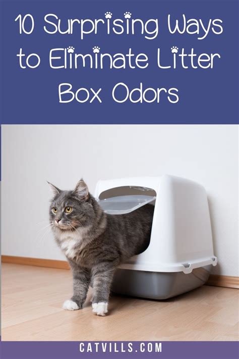 how to keep litter boxes from smelling.
